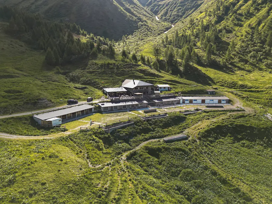 Group retreat in nature